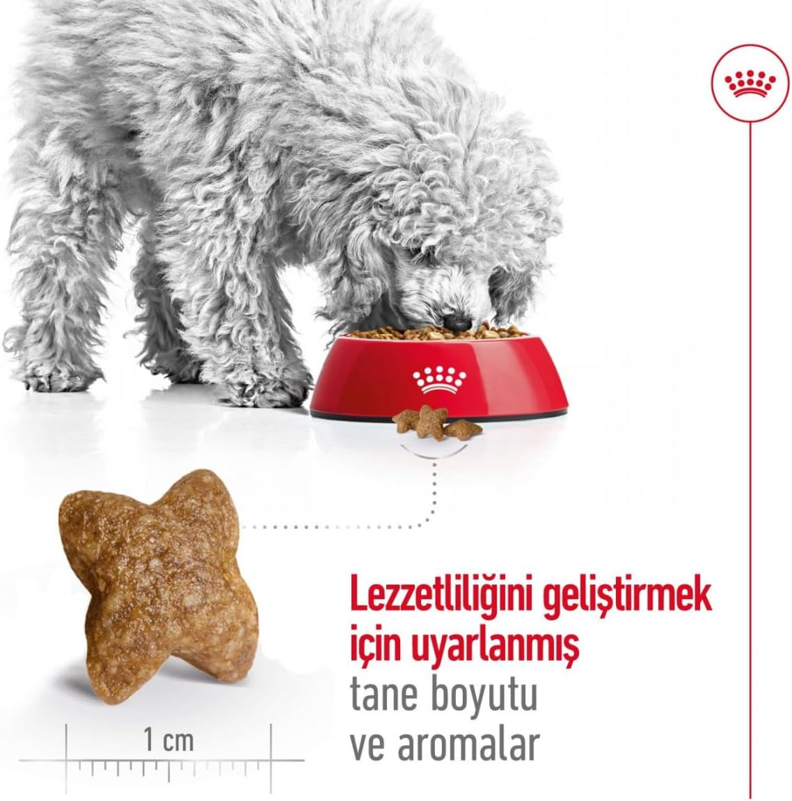 Royal Canin Mini Adult 4 kg