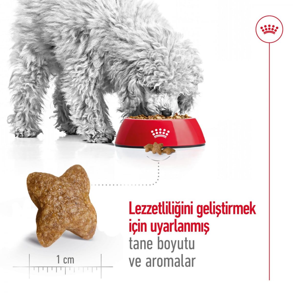Royal Canin Mini Adult 4 kg