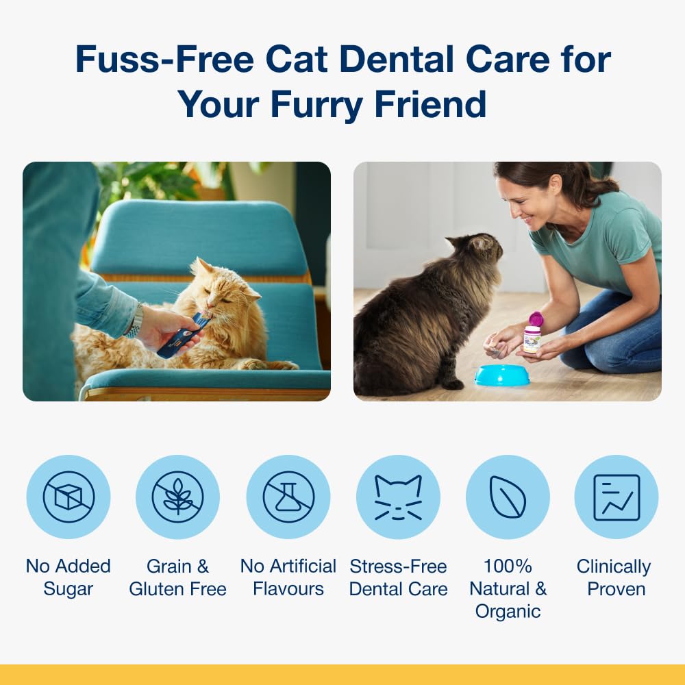 ProDen PlaqueOff 40g Dental Powder for Cats - 100% Natural, 4-Month Supply