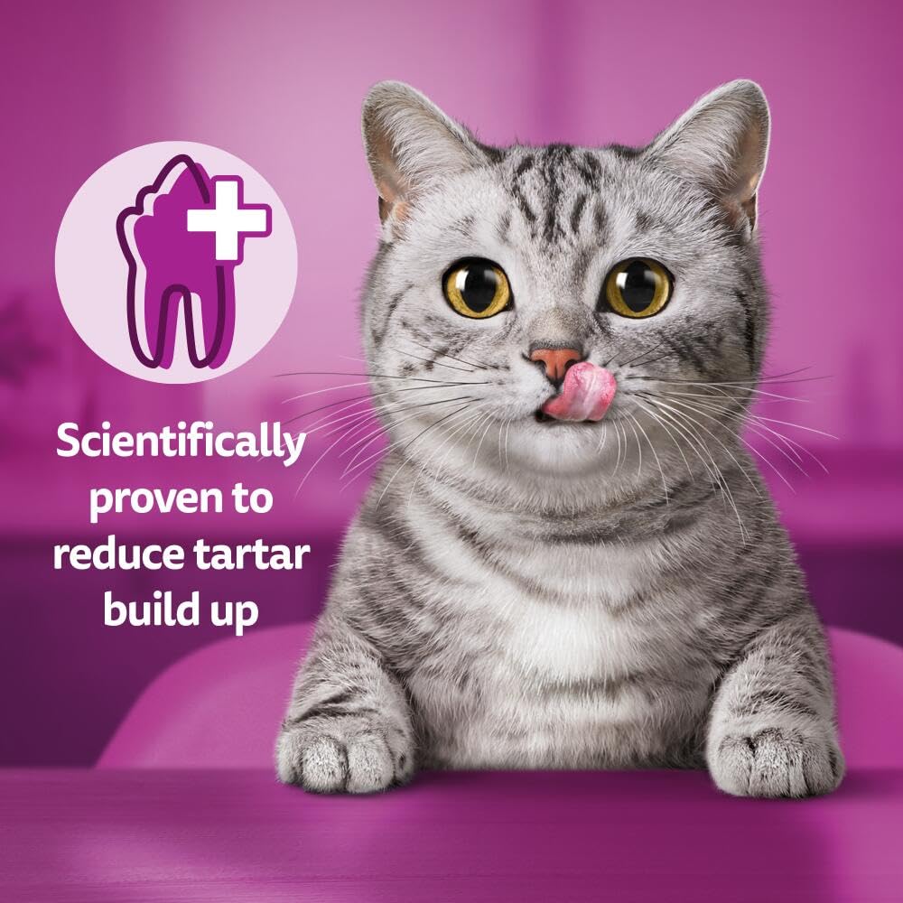 WHISKAS Crunch 100g (Pack of 6) - Tasty Topping Adult Cat Treat Biscuits