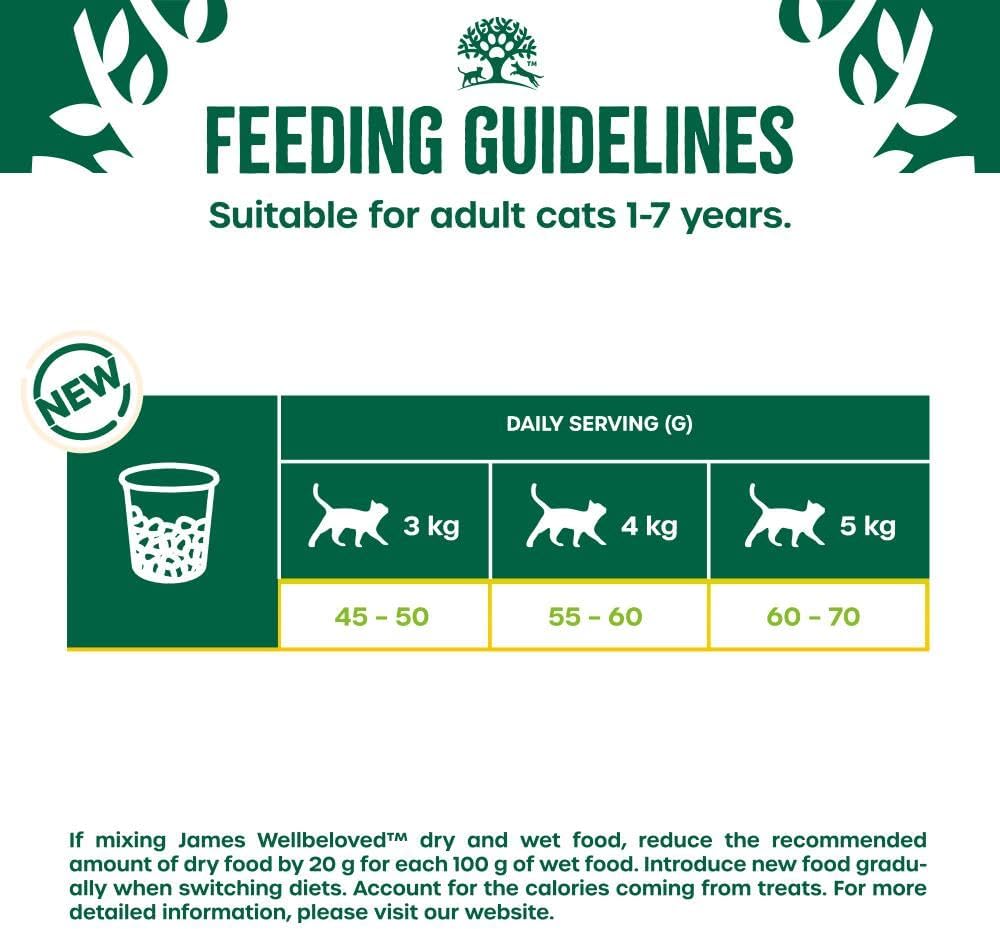 James Wellbeloved Hypoallergenic Dry Cat Food for Adult Cats Turkey 4 kg