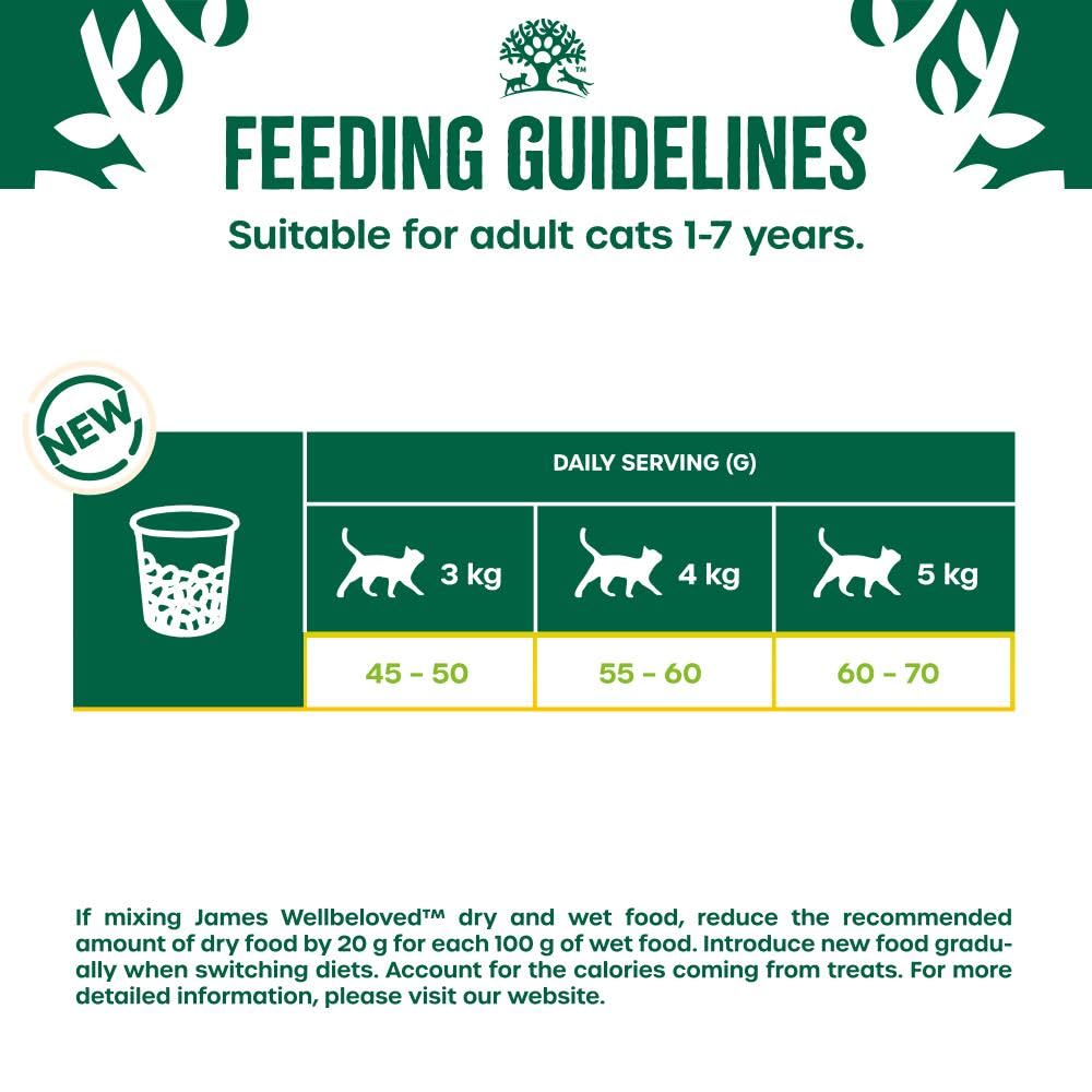 James Wellbeloved Hypoallergenic Dry Cat Food for Adult Cats Turkey 4 kg