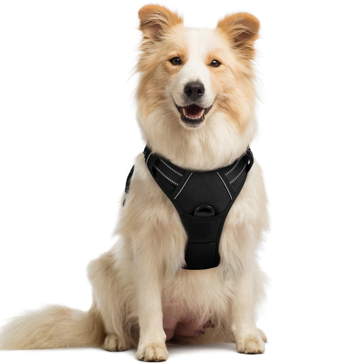 rabbitgoo Dog Harness Large Dog, No Pull Vest with Front Clip & Handle