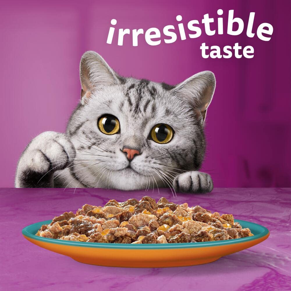 WHISKAS DUO Adult Wet Cat Food in Jelly 12x85g Surf & Turf (Pack of 4)
