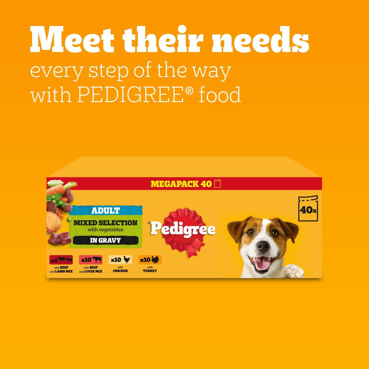 Pedigree Adult Dog Wet Food Pouch Mixed Selection in Gravy, 40x100g