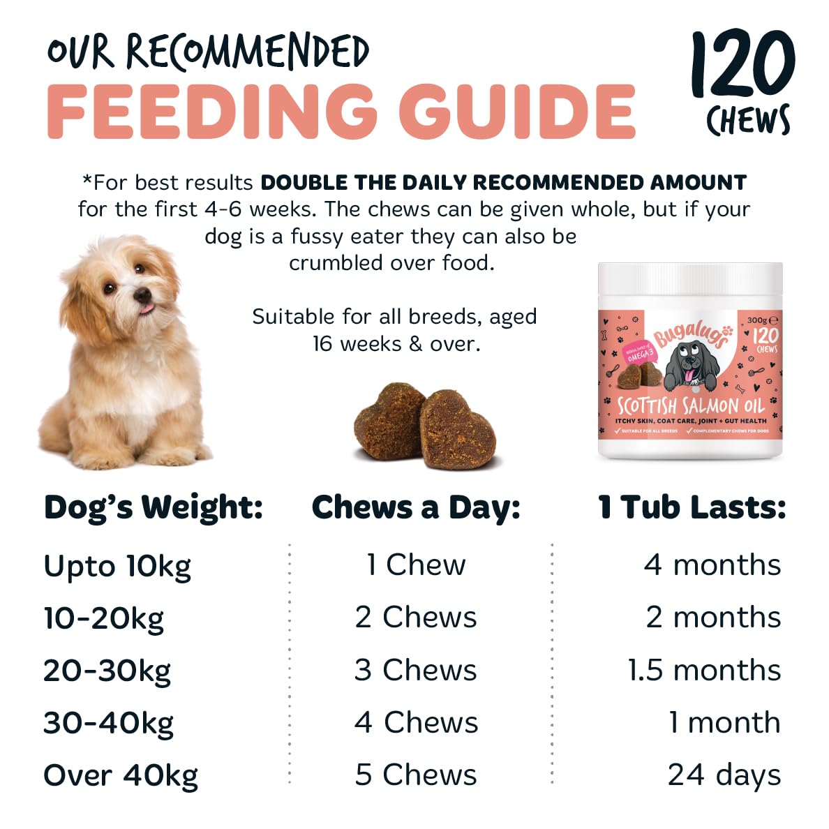 Bugalugs Scottish Salmon Oil For Dogs & Cats, Dog Supplement Support for Skin And Coat, Itchy Skin & Moulting, Omega 3 Fish Oil (Salmon, 500ml)