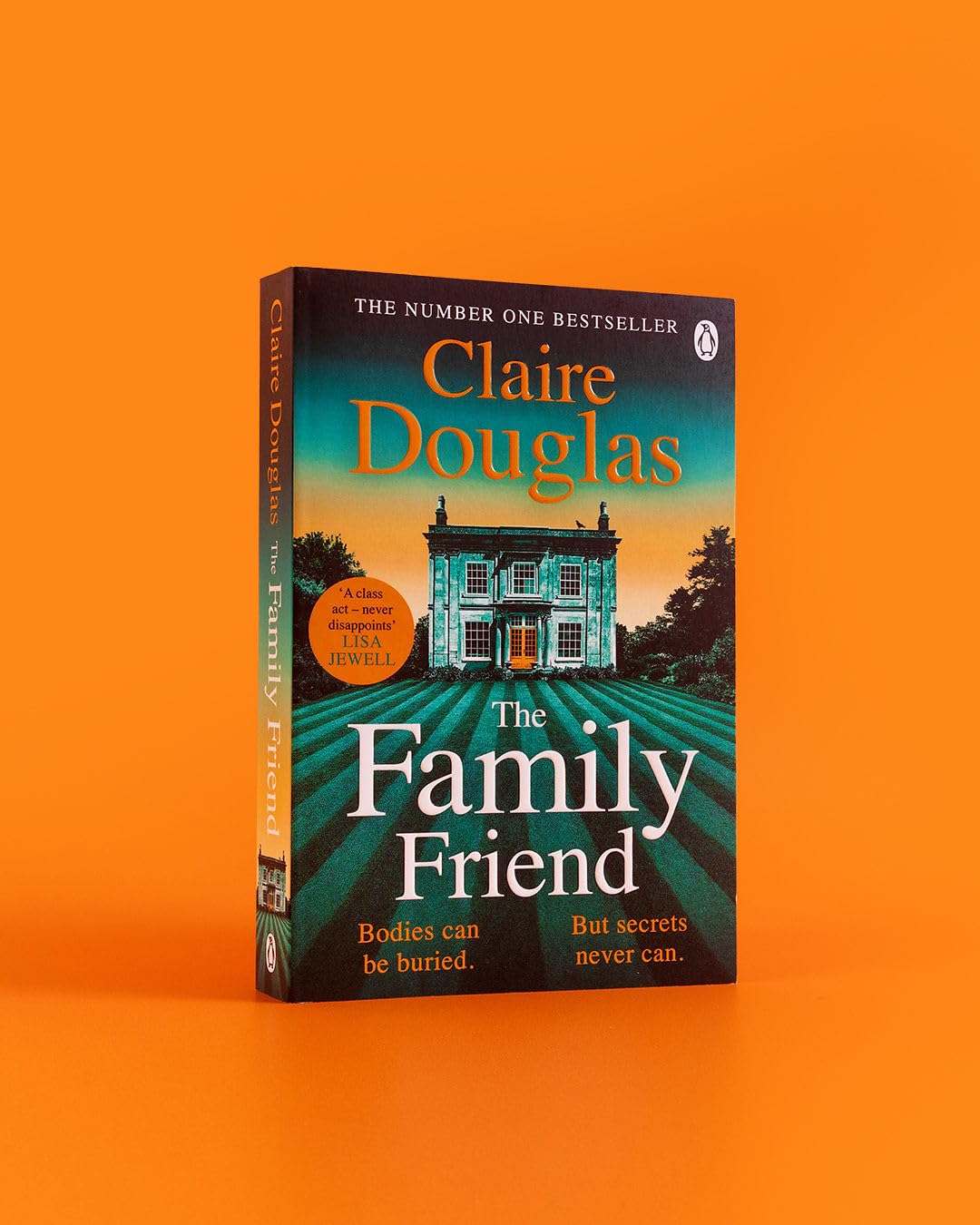 The Family Friend: The dark and addictive new thriller about murder, memory and the secrets that won’t stay hidden ― from the No. 1 Sunday Times bestselling author