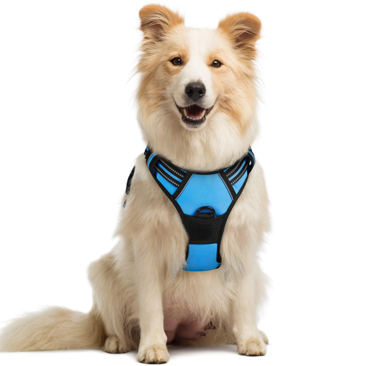 rabbitgoo Dog Harness Large Dog, No Pull Vest with Front Clip & Handle