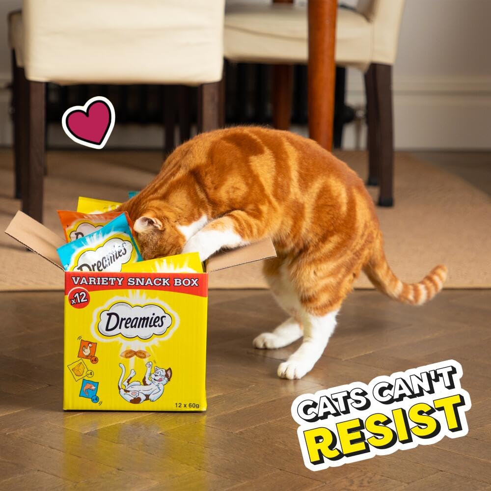 DREAMIES - Chicken Cat Treats - 2x350g - Multipack Snacks 2 Mega Tubs - Bulk Cat Food