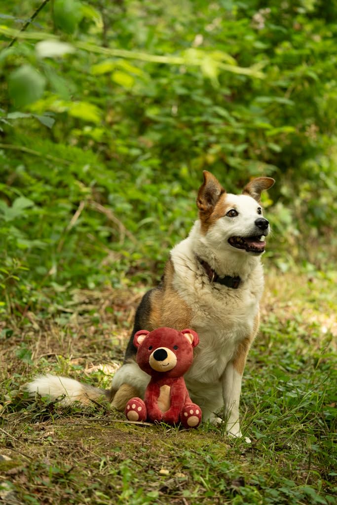 Petface Honking and Squeaky Duck Plush Dog Toy