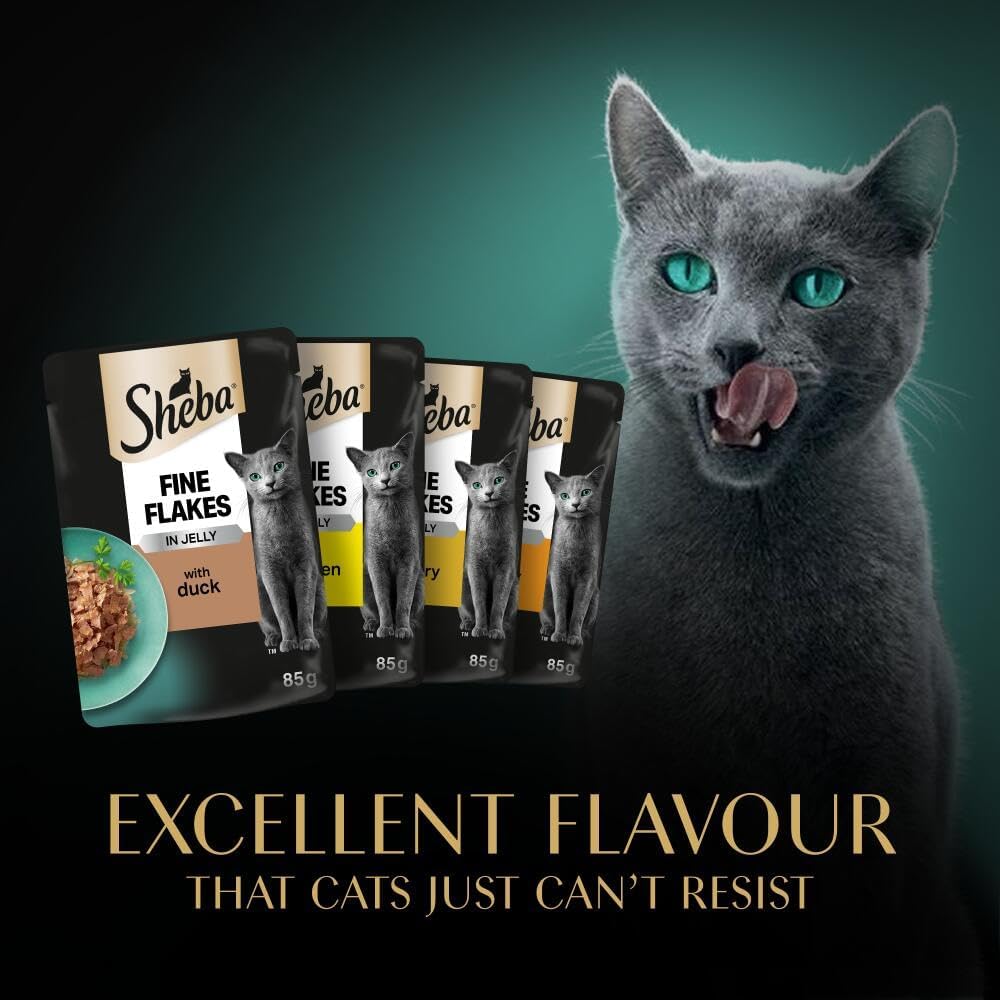 Sheba Fine Flakes in Jelly – Poultry Collection – Wet cat food pouches for adult cats – 72x85g pack