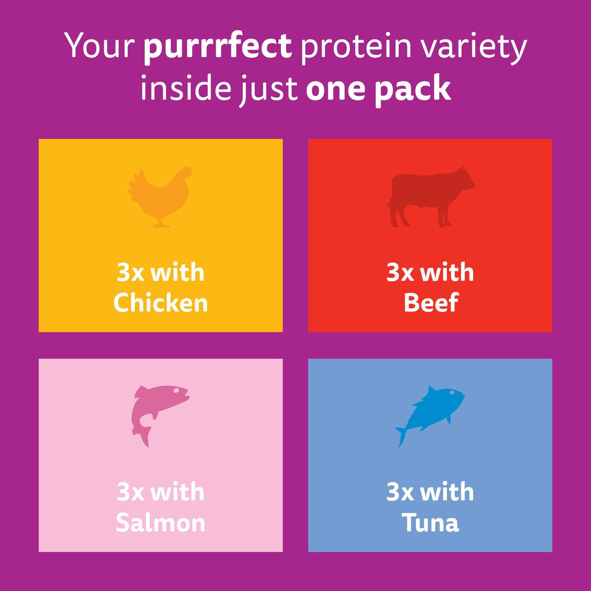 WHISKAS Adult Wet Cat Food in Jelly 40x85g Fish Favourites