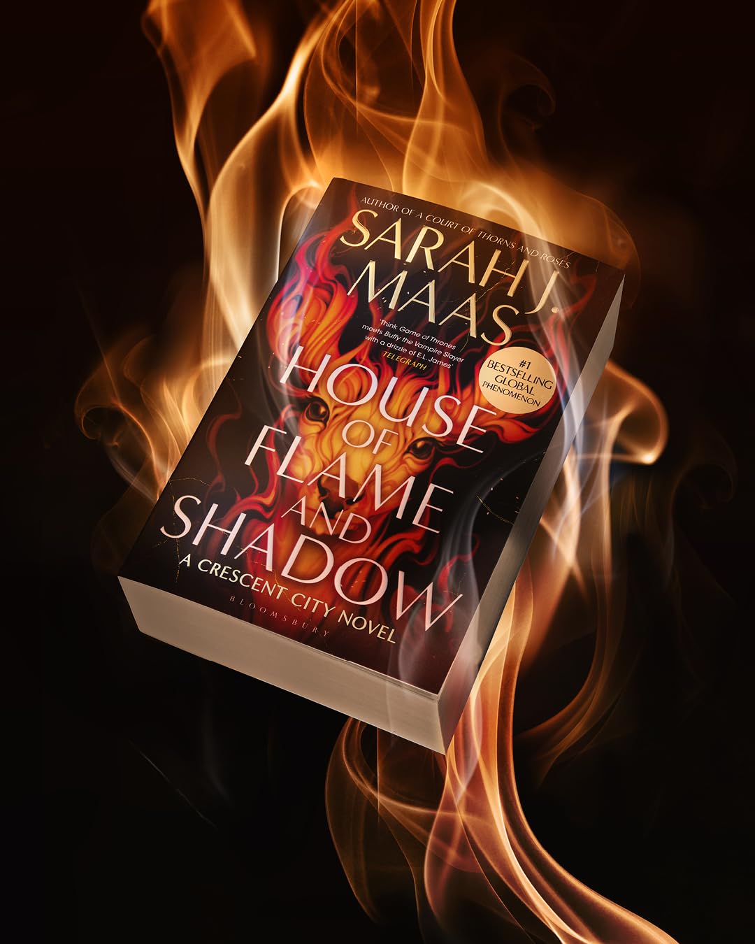 House of Flame and Shadow: The INTERNATIONAL BESTSELLER and the smouldering third book in the Crescent City series, from the creator of ACOTAR