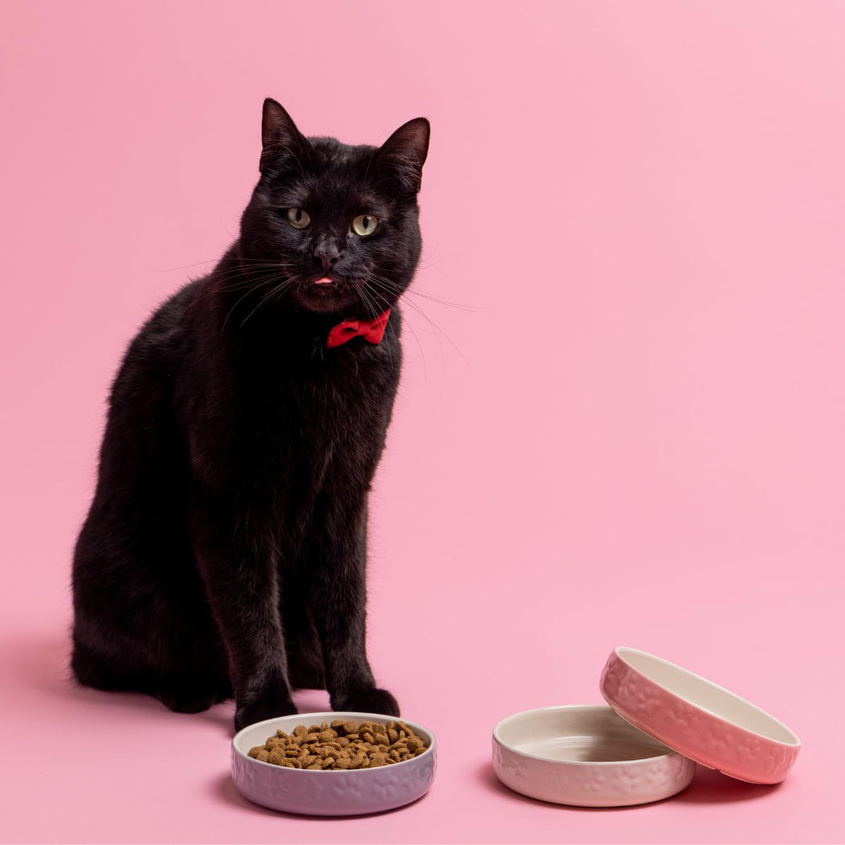 Mason Cash Colour Mix Cream Cat Saucer 13cm |200ml Durable Stoneware Pet Bowl for Food & Water | Dishwasher, Freezer & Microwave Safe