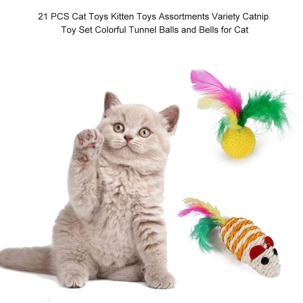 20 Pcs Cat Toys for Indoor Kitten, Collapsible Tunnel, Interactive Feather Wand Ball Spring Mice Toy for Puppy Kitty