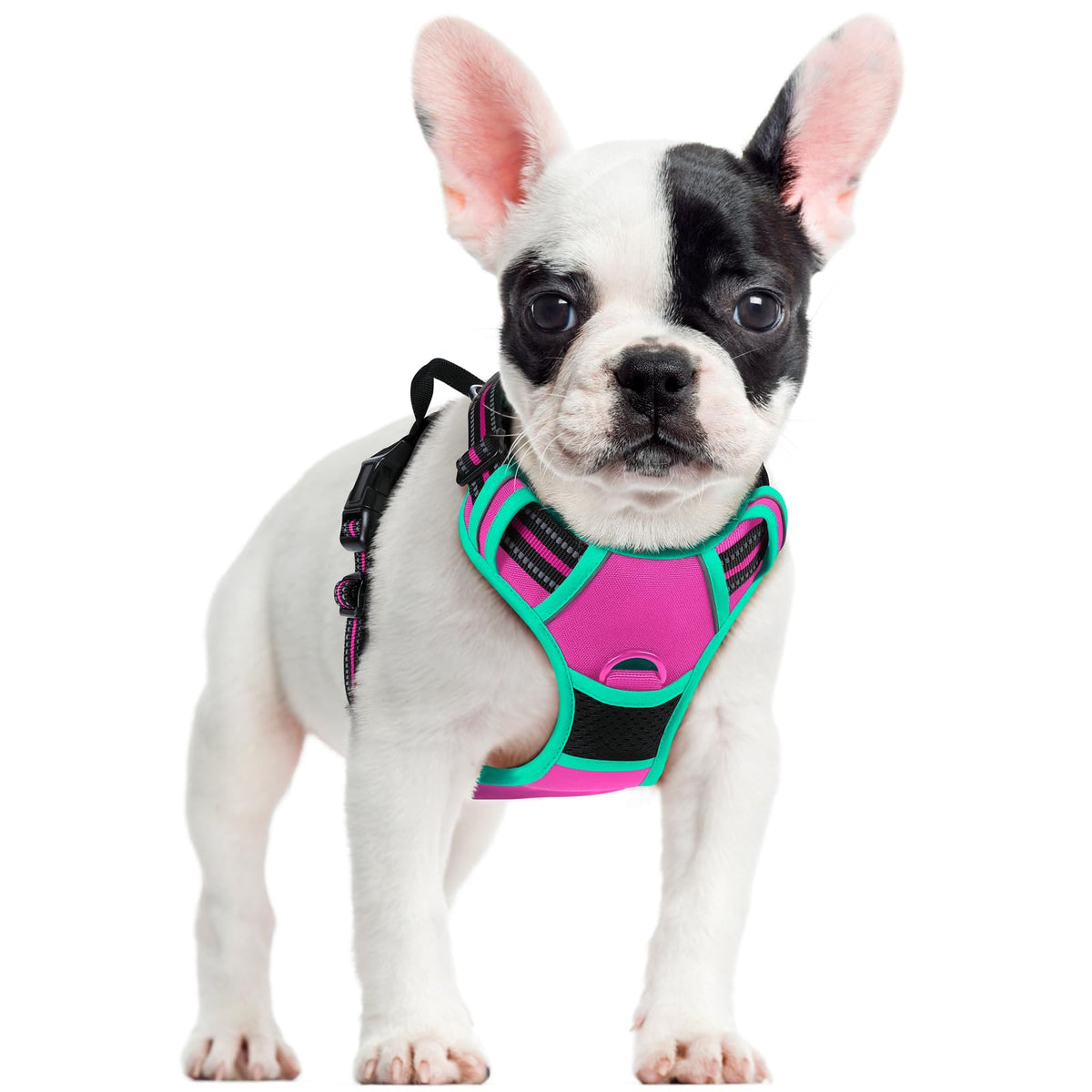 rabbitgoo Dog Harness Large Dog, No Pull Vest with Front Clip & Handle