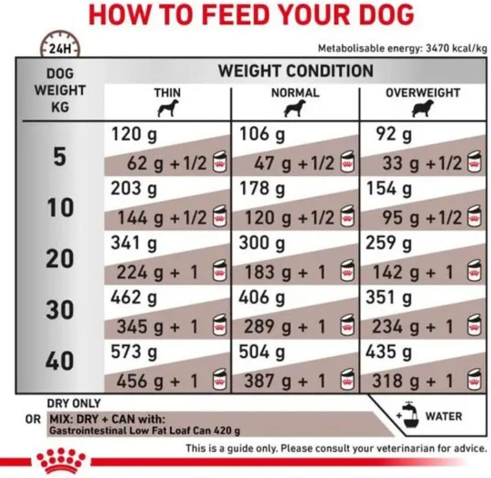 Royal Canin Veterinary Diet Dog - Gastro Intestinal Low Fat, 6kg
