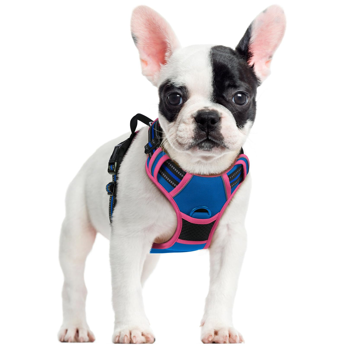 rabbitgoo Dog Harness Large Dog, No Pull Vest with Front Clip & Handle