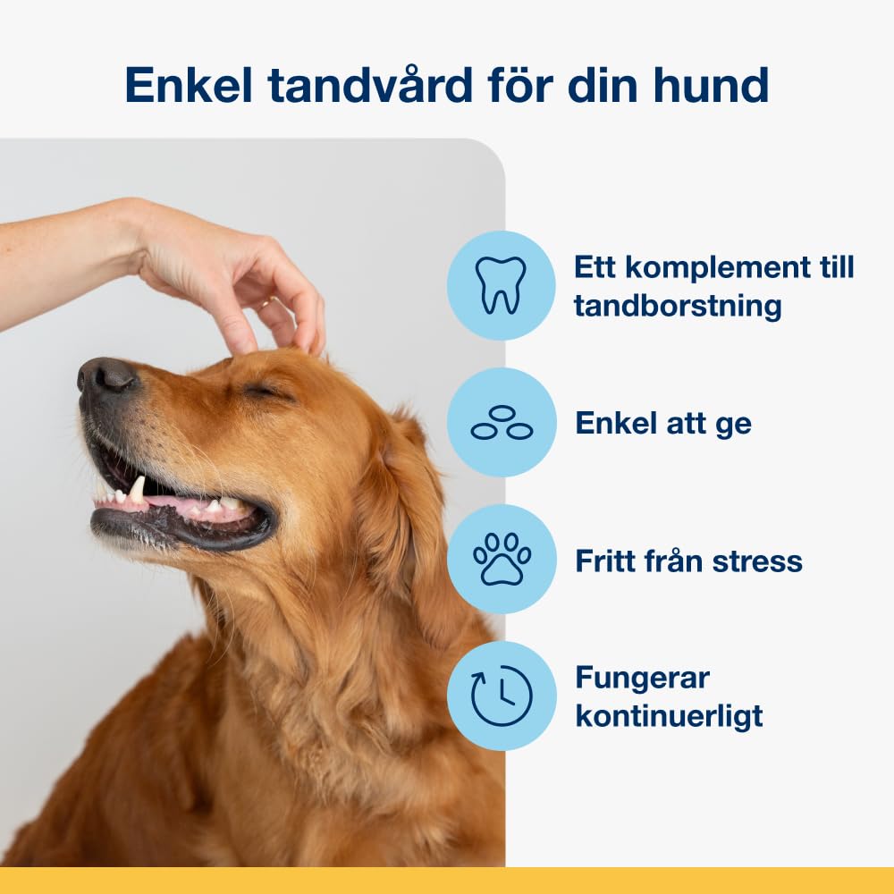ProDen PlaqueOff Powder for Dogs & Cats, Tartar & Bad Breath Remover 100% Natural Teeth Cleaner and Plaque Remover 60 g