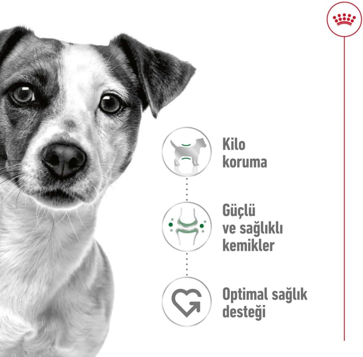 Royal Canin Mini Adult 4 kg