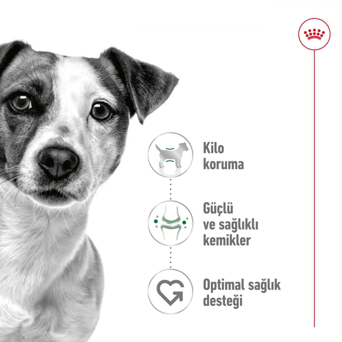 Royal Canin Mini Adult 4 kg
