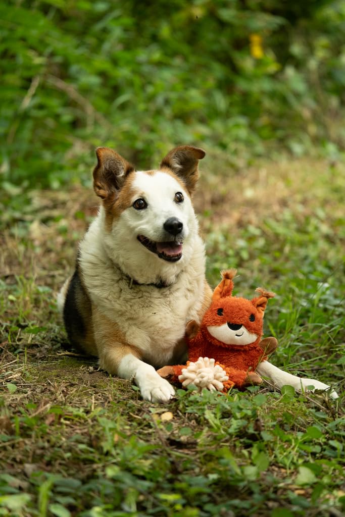 Petface Honking and Squeaky Duck Plush Dog Toy