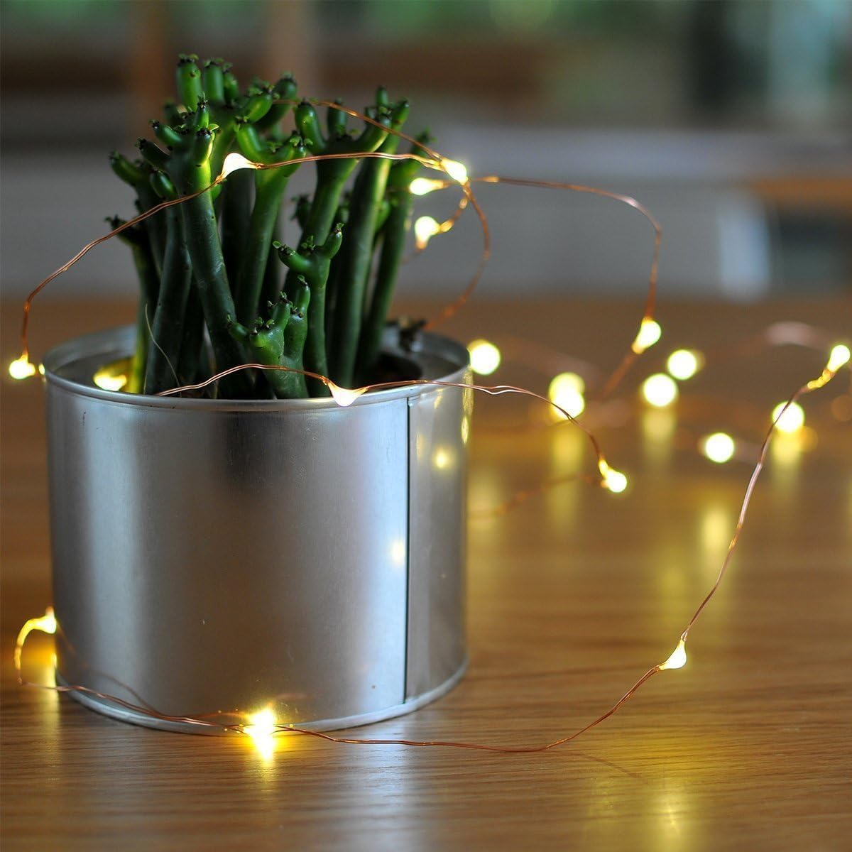 Makion 10M Led Battery Powered Fairy String Lights 100 LEDs for Decoration