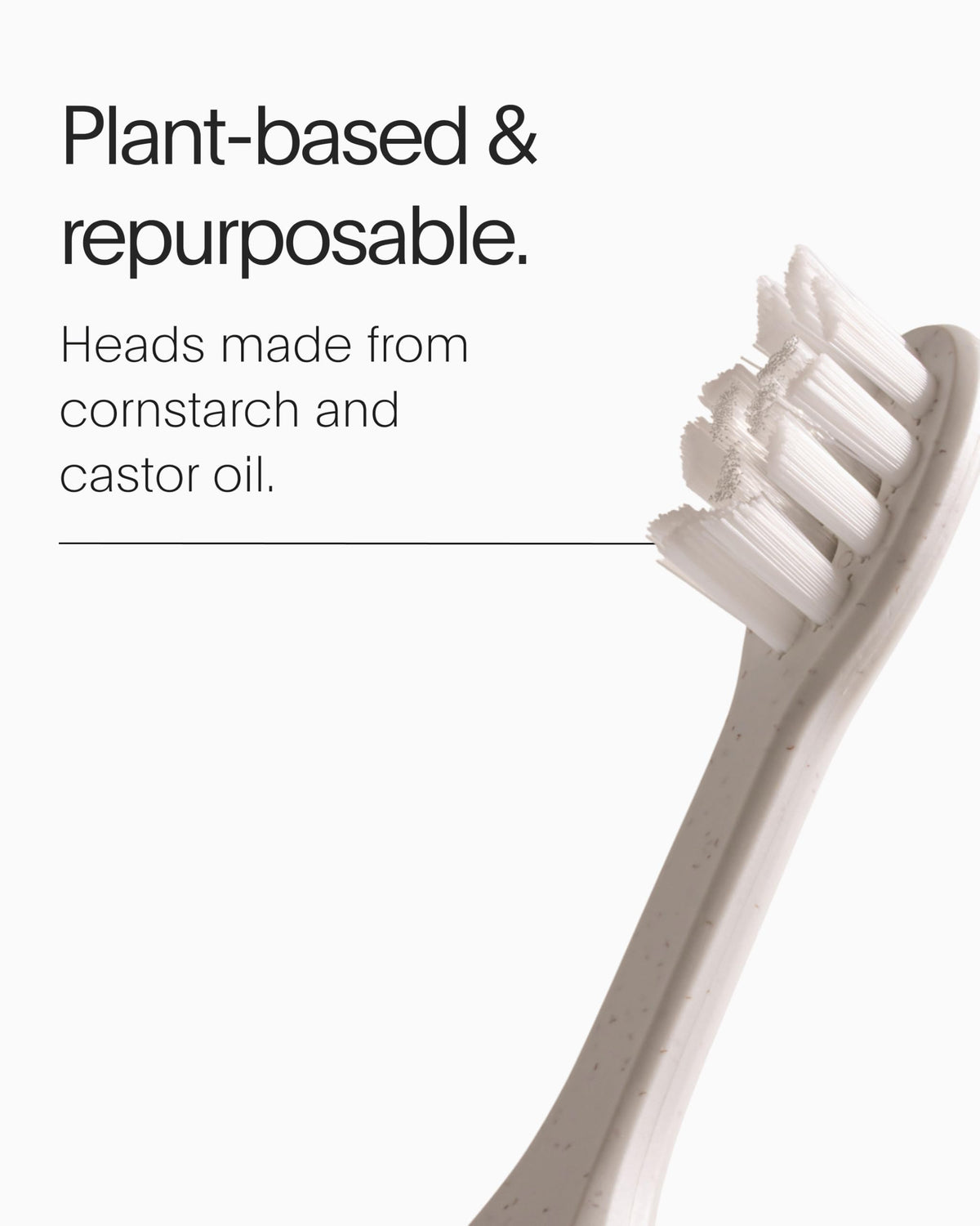 SURI Recyclable Electric Toothbrush Heads | Core & Pro Compatible | Long Lasting Replacement Heads | Pack of 3 | Winter Fern