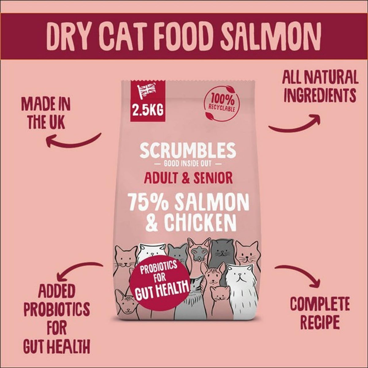 Scrumbles All Natural Dry Cat Food With Chicken and Fresh Salmon, High Protein Food for Adults And Seniors, 2.5 Kg,pink bag