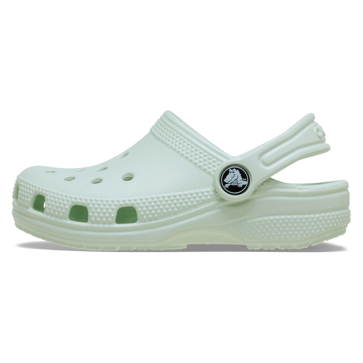 Crocs Unisex Kids Classic Clog TClog