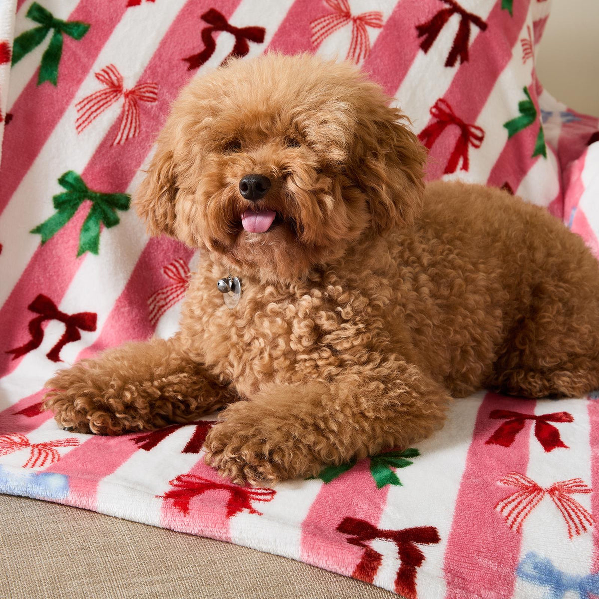 OHS Printed Pet Blanket Reversible Sherpa Fleece Dog Cats Thermal Calming Throw