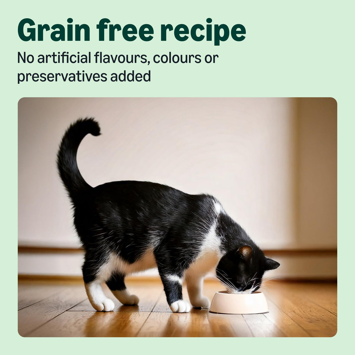 by Amazon Dry Cat Food for Adult Cats, Grainfree Recipe with Fresh Salmon, 1 Pack of 3kg (Previously a Lifelong brand, same product)