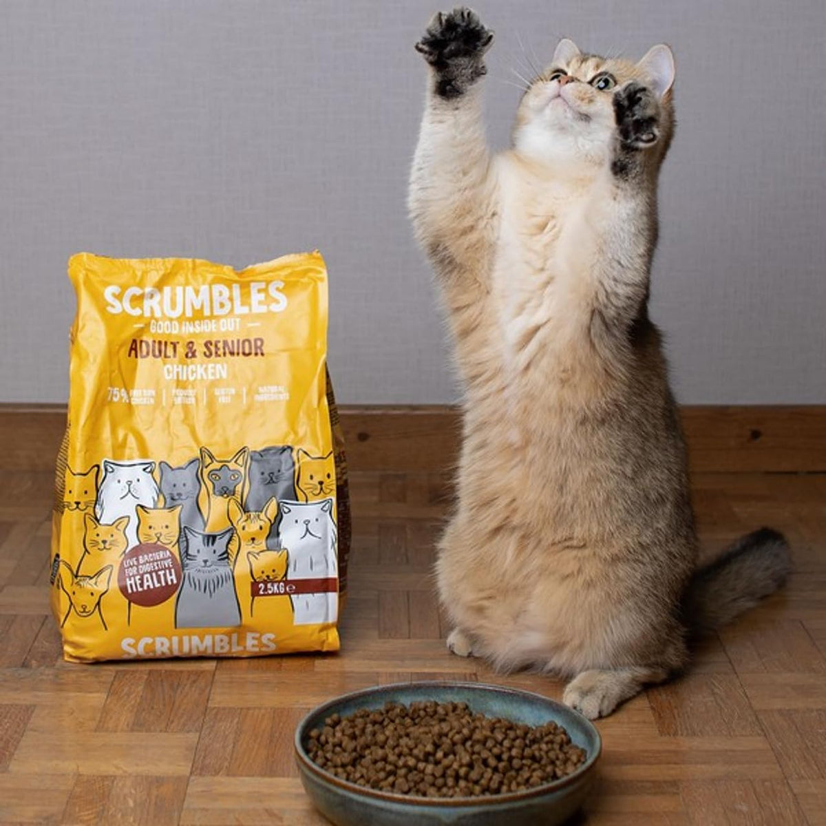 Scrumbles All Natural Dry Cat Food With Chicken and Fresh Salmon, High Protein Food for Adults And Seniors, 2.5 Kg,pink bag