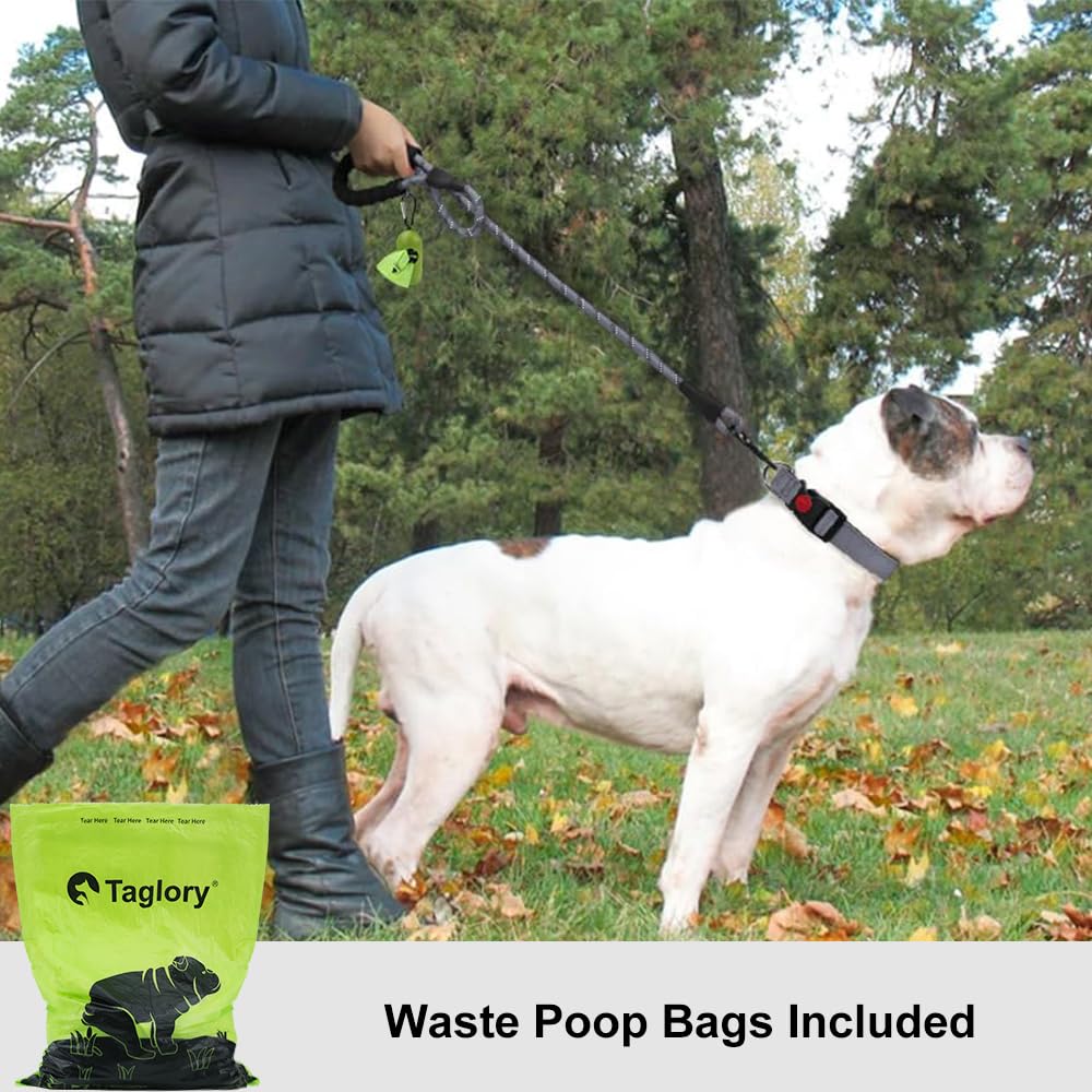 Taglory Rope Dog Lead with Soft Padded Handle – Reflective Rock Climbing Rope Lead for Small and Medium Dogs 120 cm 1.0 cm Black