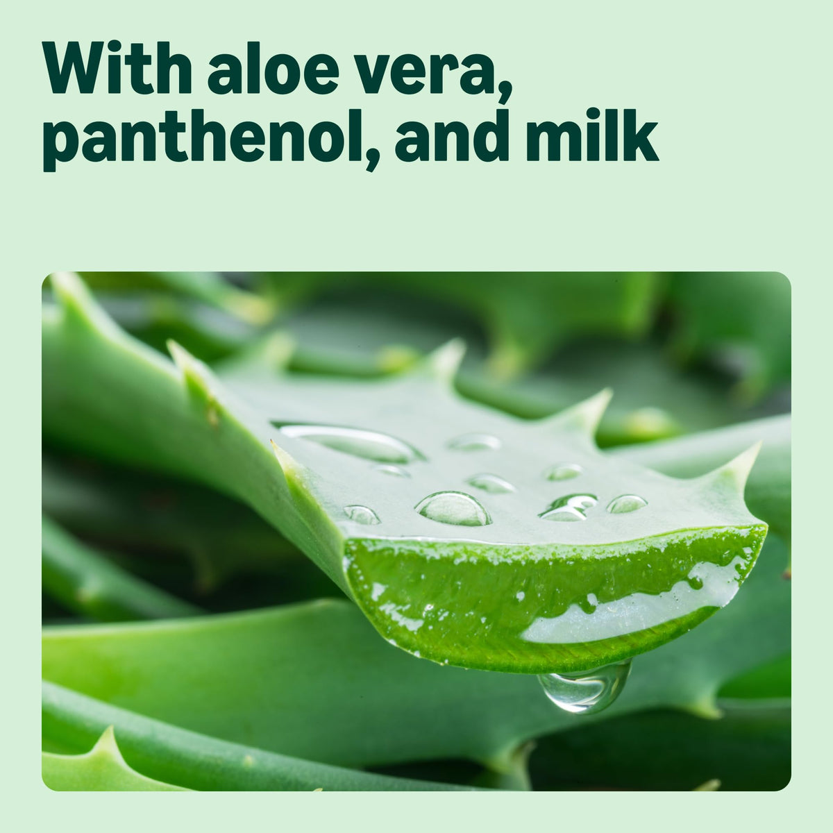 by Amazon Vanilla & Coconut Shower Gel, 2 x 500ml