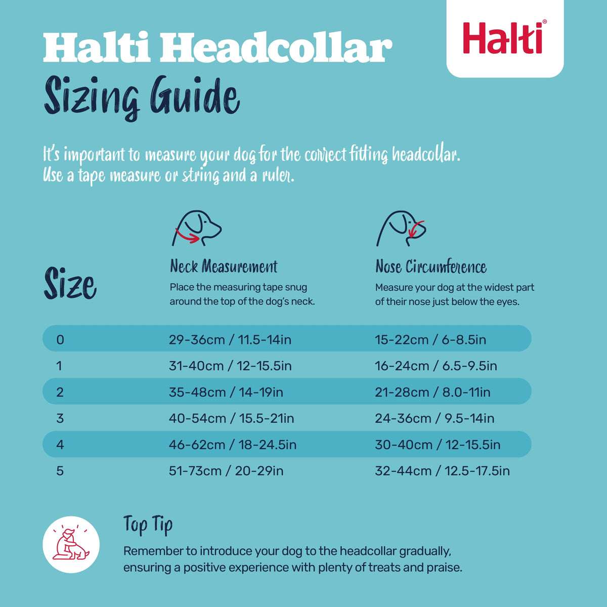 Halti Headcollar for Dogs | Size 3, Black