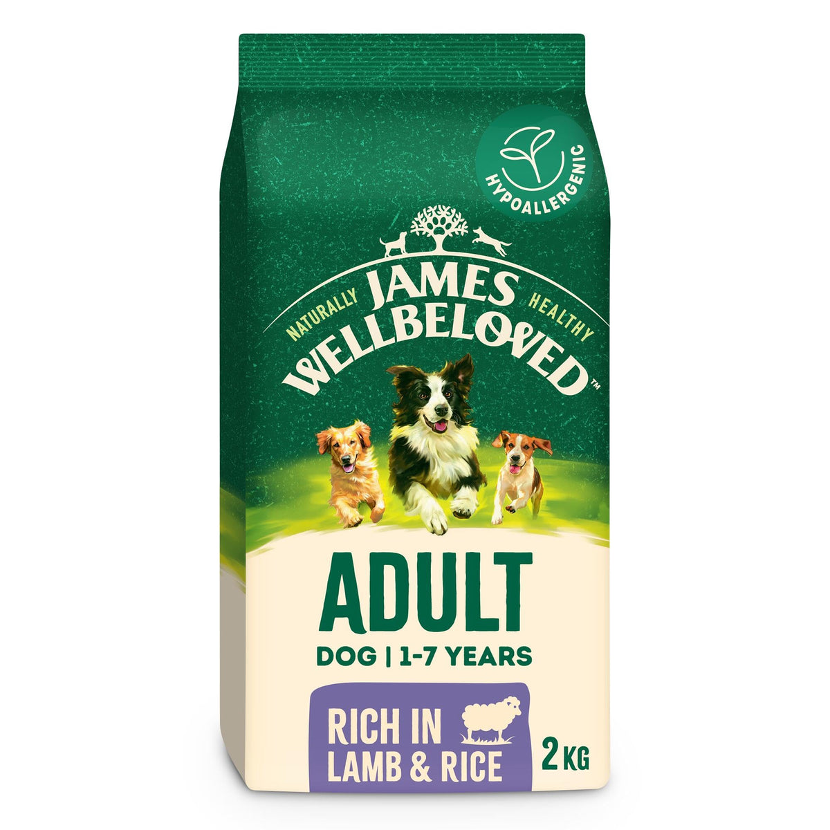 James Wellbeloved Dog Adult Hypoallergenic Dry Food Turkey and Rice 2 kg