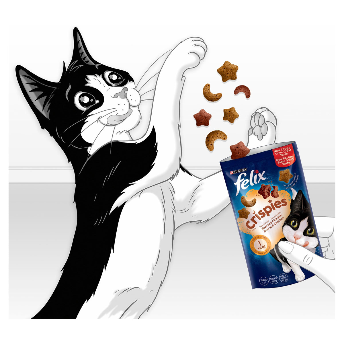 FELIX Tasty Shreds Adult Wet Cat Food Mixed Selection in Gravy Chicken, Beef, Tuna, Salmon 40 x 80g Pouches