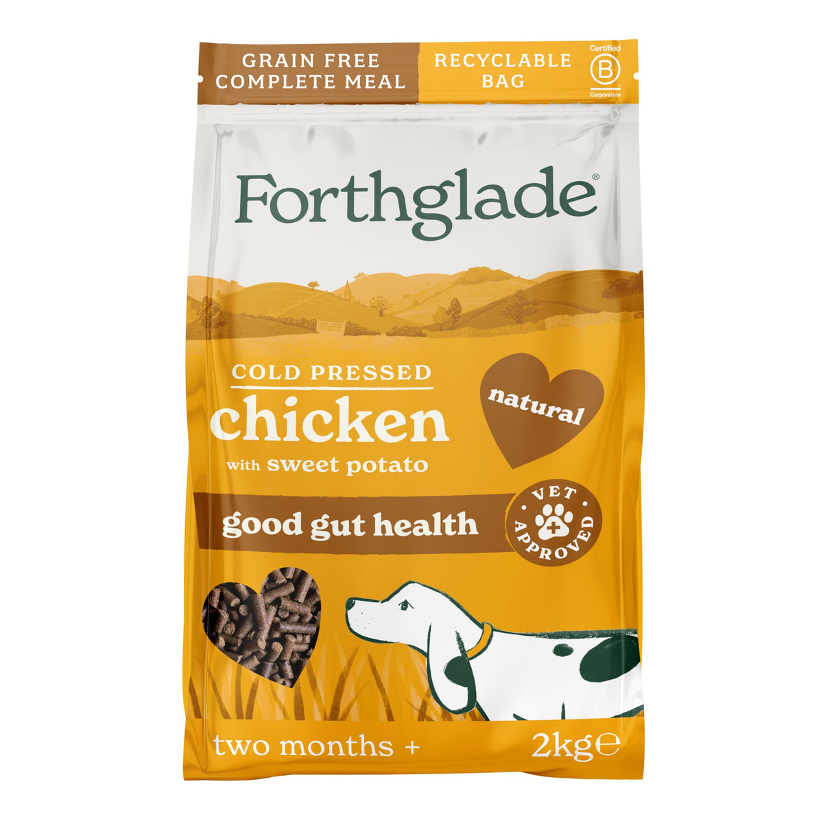 Forthglade Dry Dog Food, Cold Pressed (6kg), Hypoallergenic and Grain Free Dog Food, Salmon & Vegetables, Natural Senior, Adult and Puppy Meal Vet, Approved For Good Gut Health