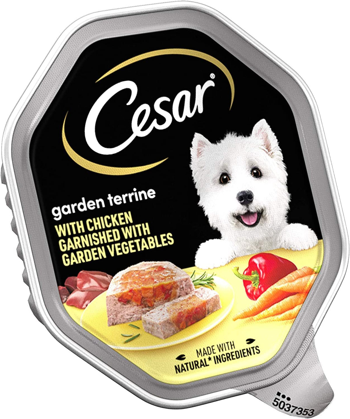 CESAR Pouch Selection in Jelly, Fresh Adult Wet Dog Food Pouches in Delicious Jelly with Succulent Meats and Vegetables, 48 x 100 g
