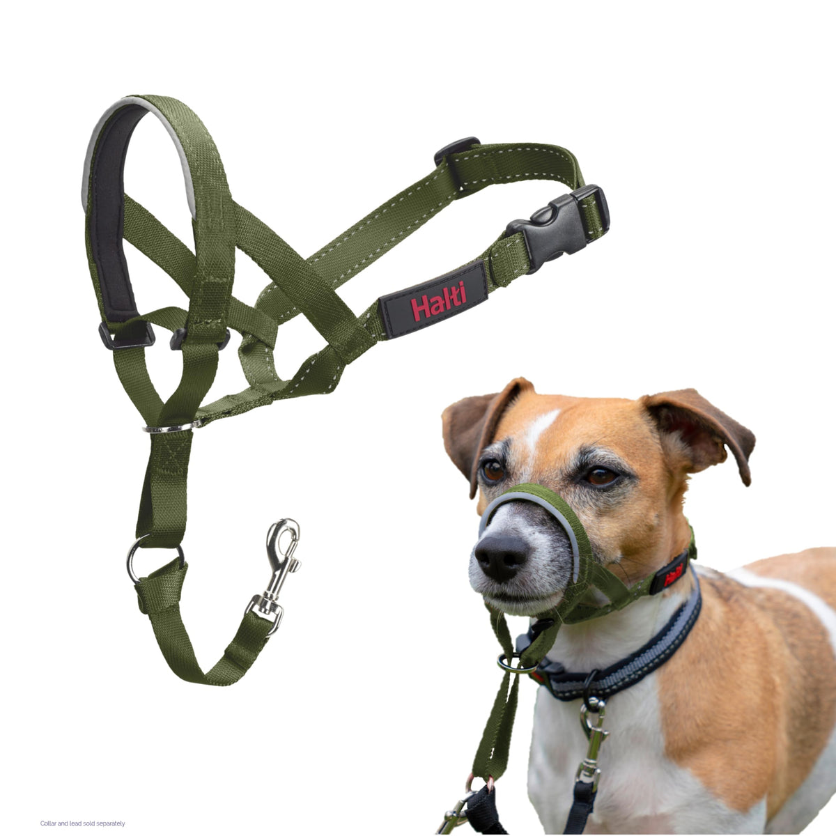 Halti Headcollar for Dogs | Size 3, Black