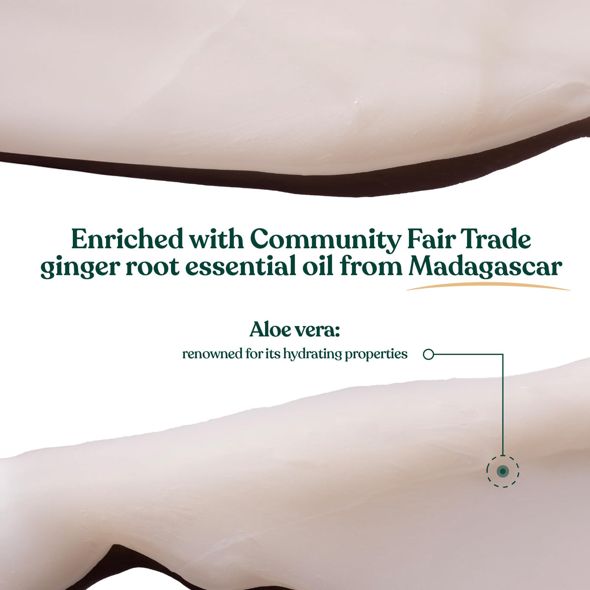 The Body Shop Ginger Scalp Care Conditioner (1x 250ml), Conditioner for Dry, Flaky Scalp, Helps Seal Hair Strands & Reduce Friction, Use After Shampoo, Vegan Haircare