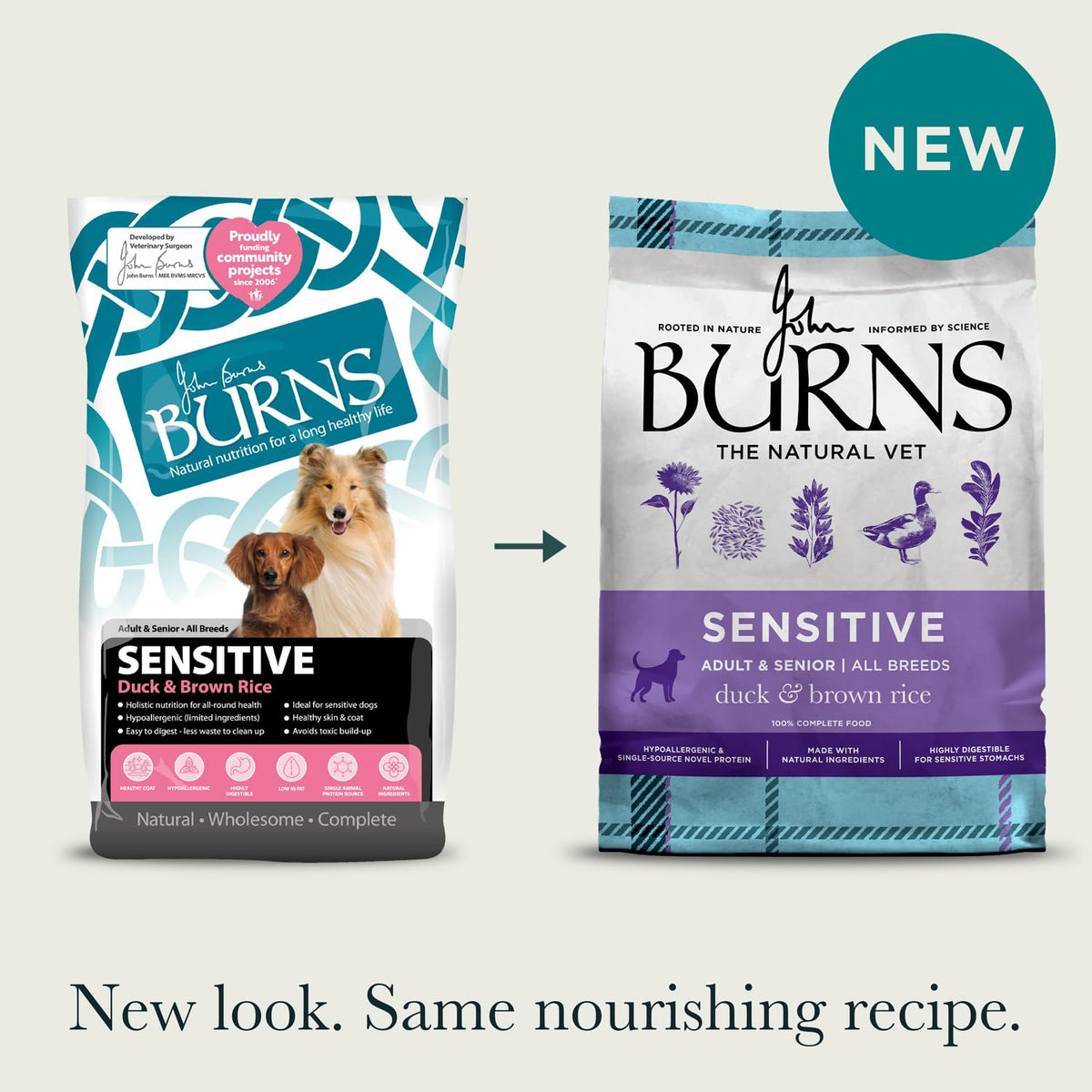 Burns Pet Nutrition Hypoallergenic Complete Dry Dog Food Adult and Senior Dog Sensitive with Pork and Potato 2 kg