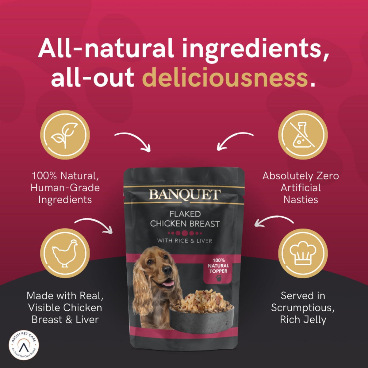HiLife Banquet Adult Wet Dog Food, Mixed Multipacks Classic Collection & Supreme Selection, Made with 100% Natural Ingredients (36 Pouches x 100g)