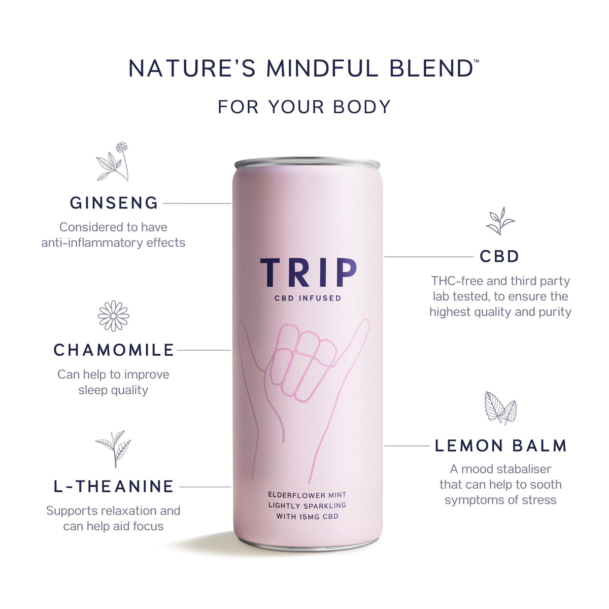 TRIP Sparkling Drink, Low Calorie, Vegan, Peach Ginger, 12 pack