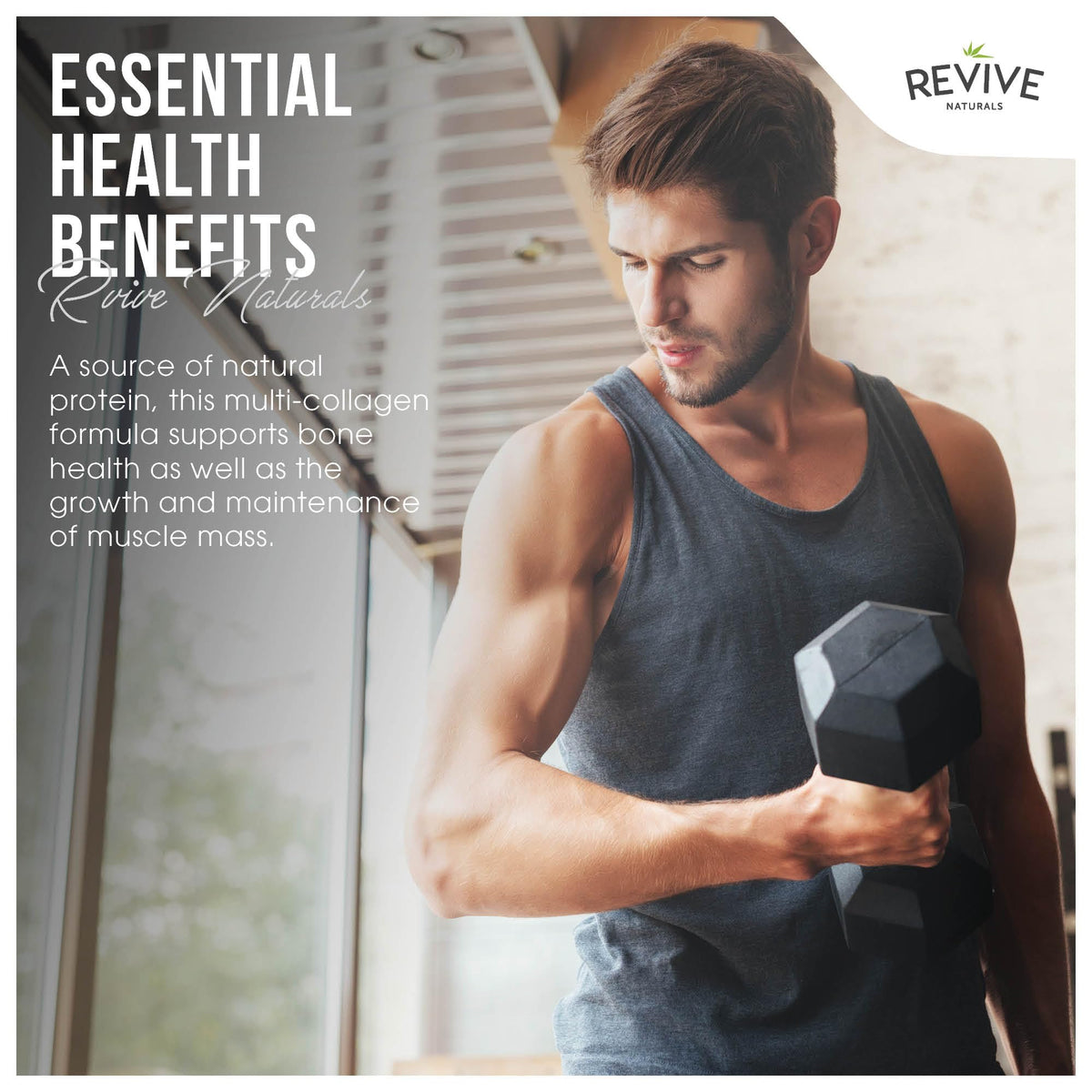 Multi Collagen Protein Powder 400g - Types I, II, III, V & X - Hydrolyzed Grass Fed Bovine, Wild Caught Fish, & Free-Range Chicken & Eggshell Collagen by Revive Naturals