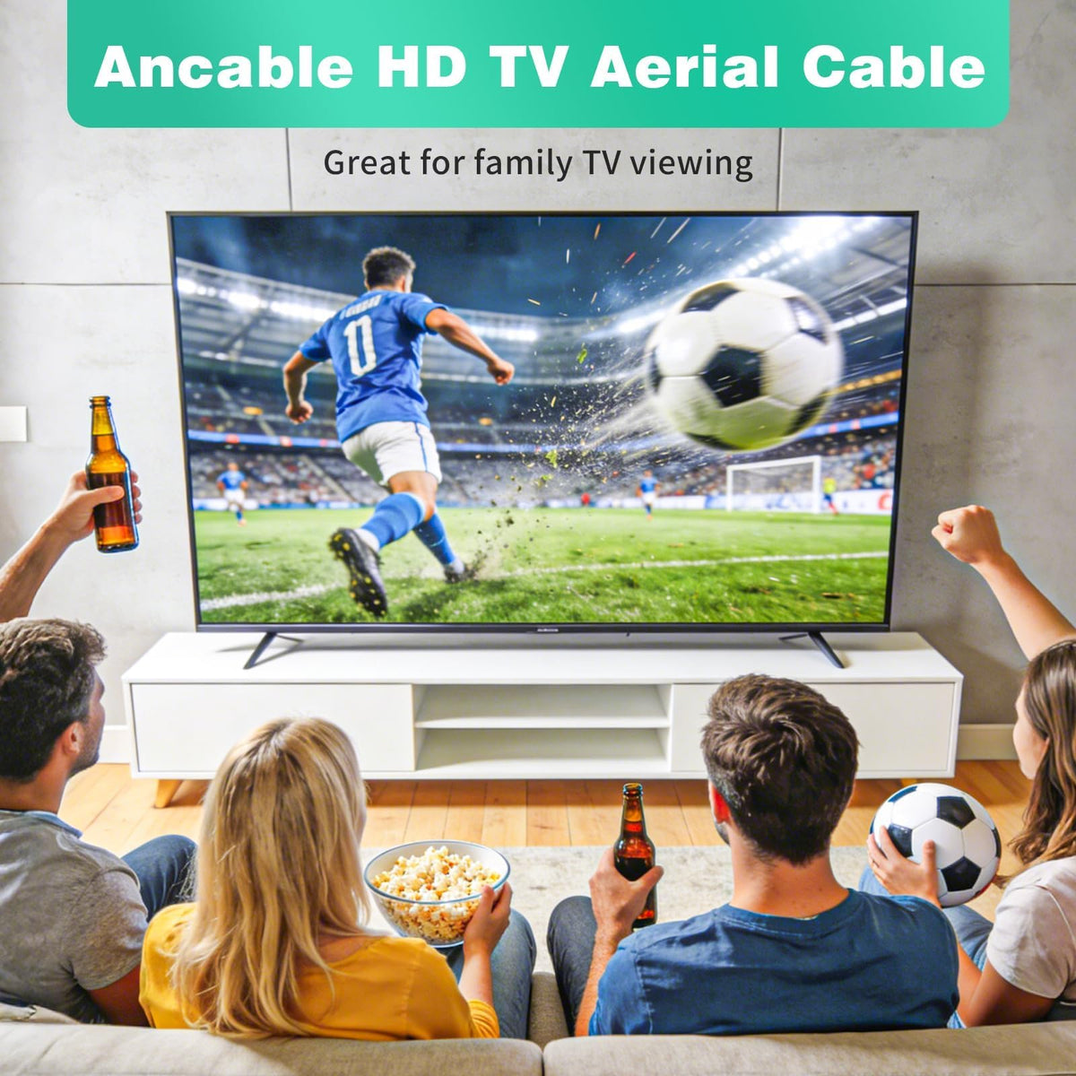 Ancable TV Aerial Cable with Coaxial Adapter 1M Black TV Ariel Lead