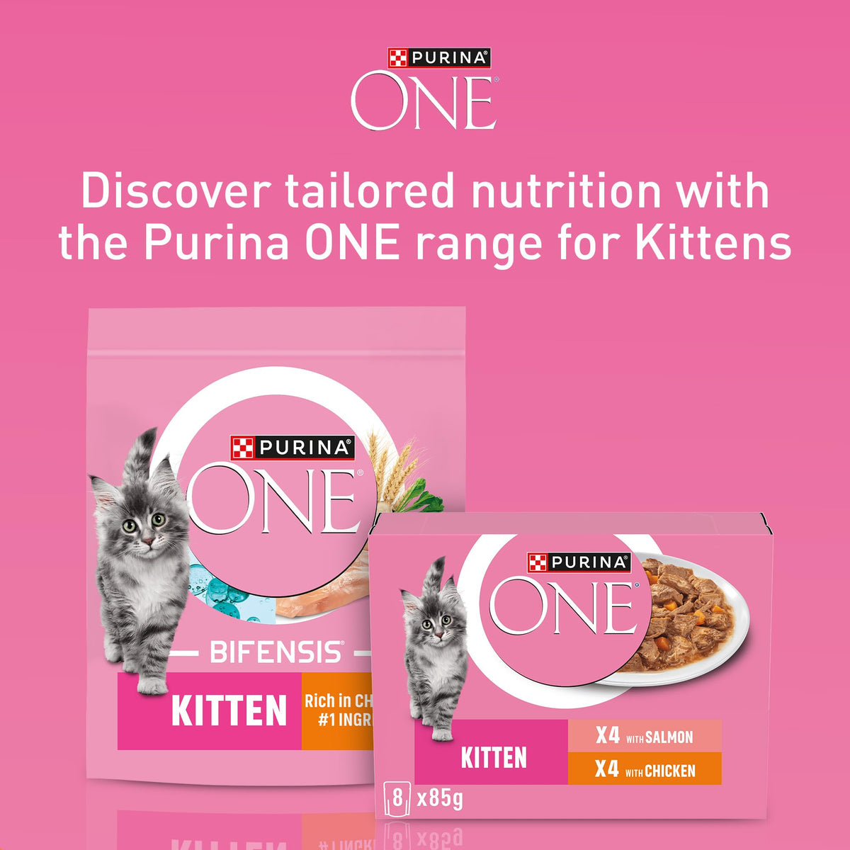 PURINA ONE BIFENSIS Dry Food for Adult Cats, Rich in Chicken, 1 Pack (1 x 5.7 kg)