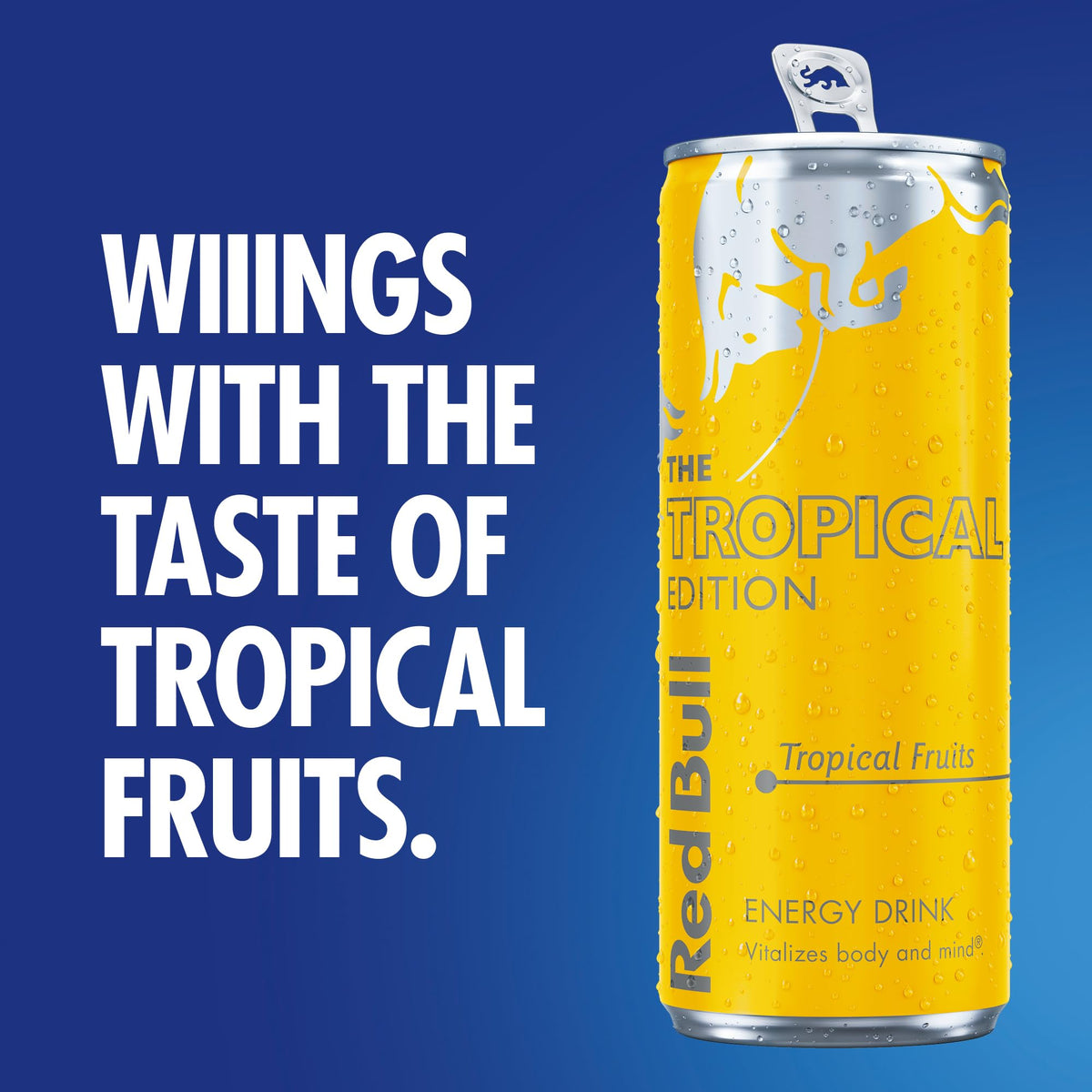 Red Bull Energy Drink Summer Edition Curuba-Elderflower, 250ml x 12