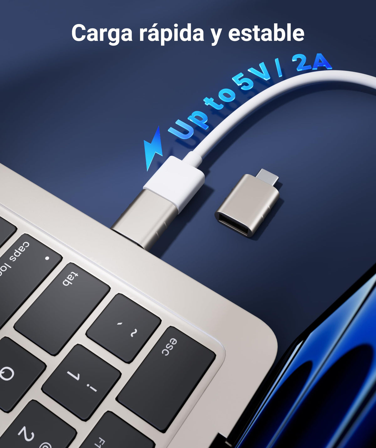 Syntech USB C to USB Adapter 2-Pack, Type C Male to USB 3.0 Female Adapter